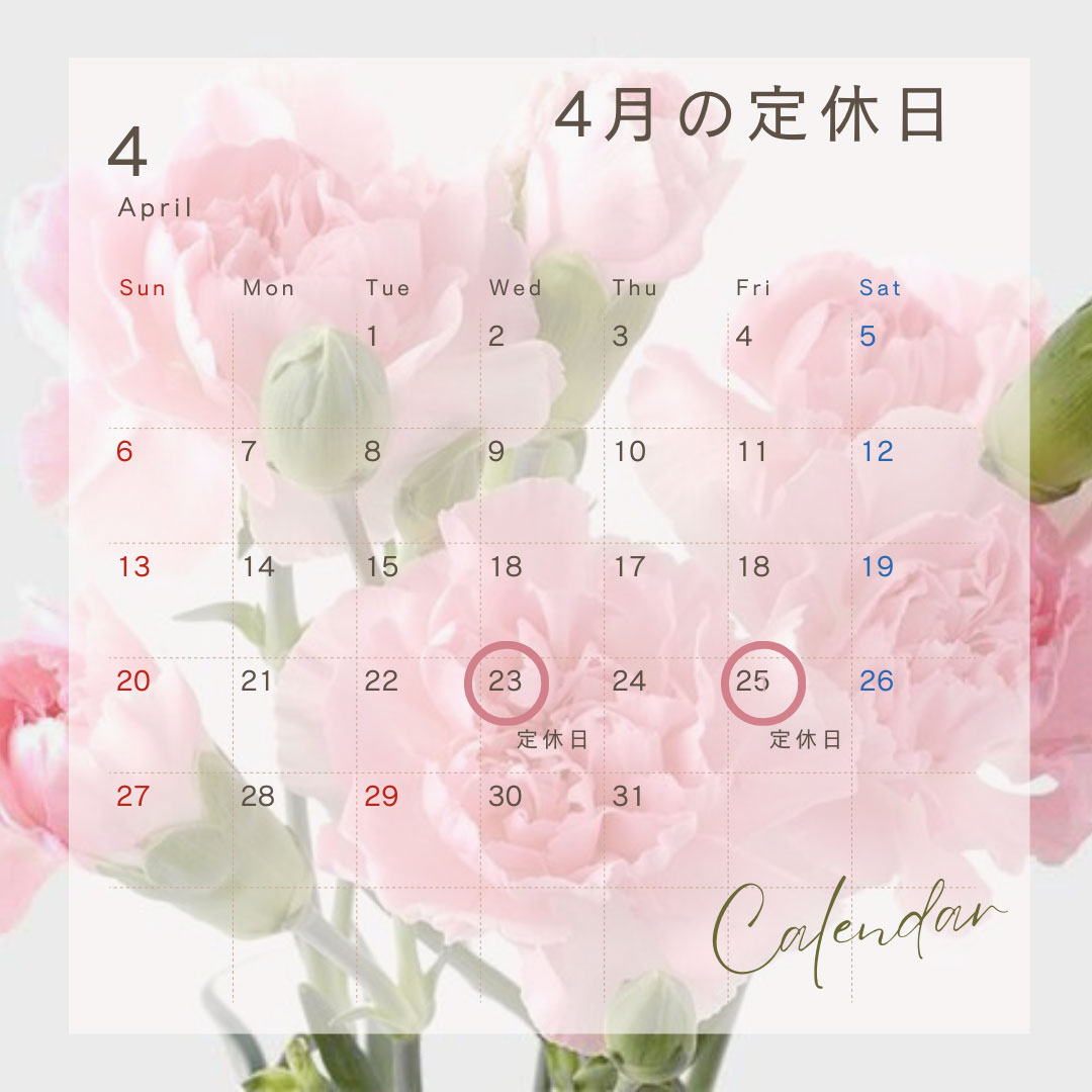 新着賃貸物件 豊島区 池袋駅 徒歩9分 1LDK 雑司ヶ谷賃貸 雑司が谷賃貸 目白賃貸 池袋賃貸 不動産ならセンチュリー21パキラハウス 不動産 賃貸 新築マンション 中古マンション 一戸建て 駐車場 貸しビル オフィスビル 定休日のお知らせ